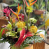 A tropical paradise garden featuring pincushion protea, anthuriums  and heleconia. 