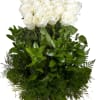 Beautiful basket filled with white roses and special greens. 