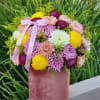 Burgundy, lavender, and yellow chrysanthemums in an elegant velvet box look exquisite
