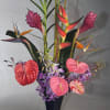 n exotic growers mix of Anthuriums, Ginger, Birds of Paradise, Heliconia, Proteas