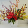 A combination of tropical foliage and tropical blooms. The perfect display for