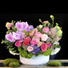 A delightful garden of roses, orchids, and complementing spring blooms