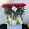 2dz red roses extra large ceramic base with Curly Willow and 90