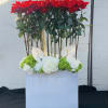 2dz red roses extra large ceramic base with Curly Willow and 90