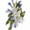 Blue agapanthus and white dendrobium orchids are bundled with eucalyptus.