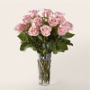 Pink Roses 