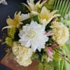 This is a lovely pastel cube arrangement designed using dahlias, carnations, Asiatic