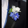 White dendrobium orchids and Blue delphinium