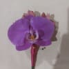 Beautiful boutonnieres for the proms or weddings 