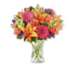 Putting a bright start in somebody&rsquo;s day starts with a beautiful gift.