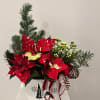 Garden basket with an assorted Christmas plants