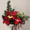 Garden basket with an assorted Christmas plants