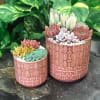 This is a red colored set of pots with a pattern printed