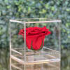 Preserved Rose in an acrylic box