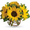 Sunflowers are known for being &ldquo;happy&rdquo; flowers, making them the perfect gift