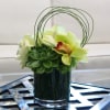 Desk-sized arrangement of white roses and a green cymbidium orchid in a