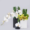 A modern arrangement consisting of 3 smaller containers full of horse tail