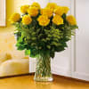 one Dozen Beautifully arranged roses with fillers and Greens. Comes in a
