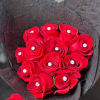 12 red roses, with Diamond Pins