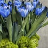 Sophisticated and simple , this all blue arrangement filled of 120 tulips