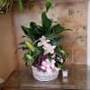 An assortment of green plants with an addition of fresh cut orchids.