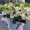 Pale blue velvet box in white-green colors with amazing lemon orchids