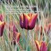 Harmonious or rich in contrasts, in over 550 photos, combinations of the