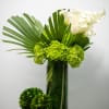 White callas rising from a bed of tropical palm leaves and green