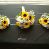 Call For A Consultation For Pricing