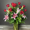 A sweet, fragrant mix of stargazer lilies with 12 beautiful long stem