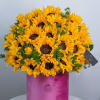 The solar composition in the box looks attractive! A bouquet of sunflowers