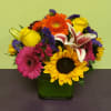 This perfect arrangement is what everyone needs on a sunny day. The