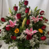 Arrangement Design in Basket For Any occasion 