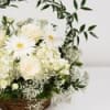 Show your love with this beautiful basket of mini gerberas and mondial