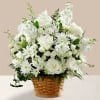 This arrangement is warm and elegance with rose , stock, pop and