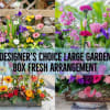 Designer choice large garden box fresh flowers 