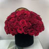 Red roses