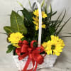 Mixed plants in a basket with fresh cut flowers and a matching