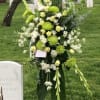 SERENE GREEN SPRAY