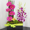 One sided trellis. Approx. size: 18&quot; tall by 12&quot;wide
** Ceramic color may