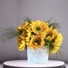 A bright arrangement of fifteen sunflowers and foliage in a birch wood