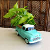 We have a indoor plant riding in the back of a classic