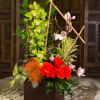 Large Cube filled with a variety of exotic flowers bright shocking colors