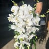 Cascade Bouquet with Phalaenopsis Orchids