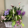 For the one who loves flowers, plants and gardening.  Our Celebration