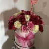 flowers tricolors. box pink.