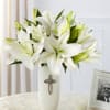 White Lilies