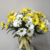 A simple, happy vase of long lasting yellow and white daisies, just