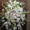 Roses, Lilies, Gladiolas and more. 