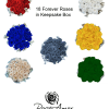 Roses in Keepsake Box (Regular or Forever Roses)

Surprise your significant other or